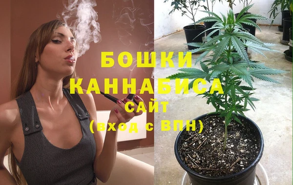 тгк Новодвинск