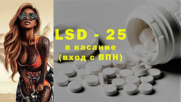 ГАЛЛЮЦИНОГЕННЫЕ ГРИБЫ Новозыбков