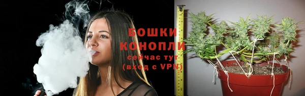 ГАЛЛЮЦИНОГЕННЫЕ ГРИБЫ Новозыбков