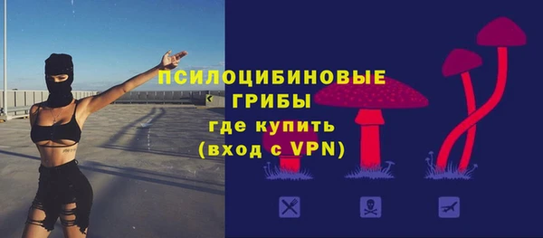 тгк Новодвинск