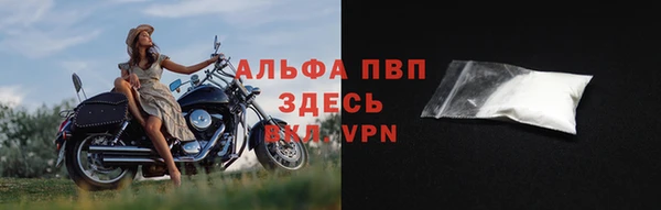 тгк Новодвинск