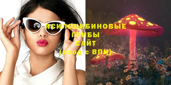 ГАЛЛЮЦИНОГЕННЫЕ ГРИБЫ Новозыбков