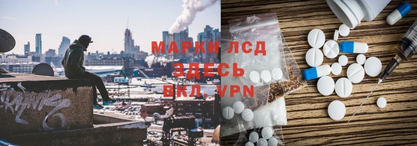 тгк Новодвинск