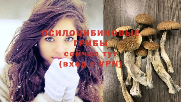 тгк Новодвинск