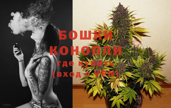 ГАЛЛЮЦИНОГЕННЫЕ ГРИБЫ Новозыбков