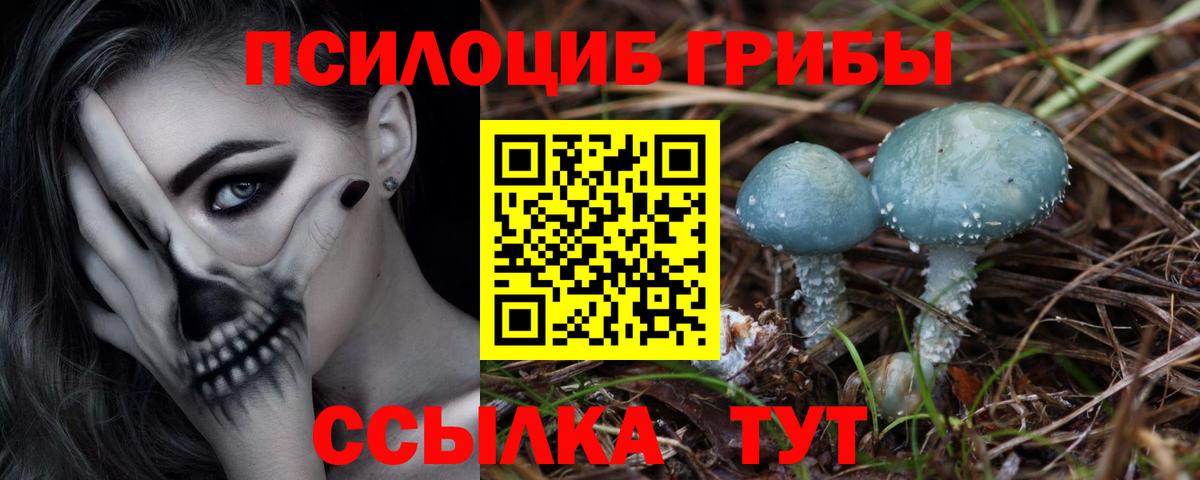Галлюциногенные грибы ЛСД Красный Сулин