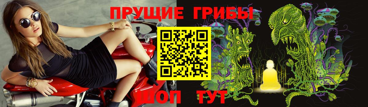 Псилоцибиновые грибы Cubensis  Галлюциногенные грибы Psilocybe  Вход с VPN  Красный Сулин 